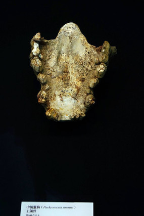 �й��๷����