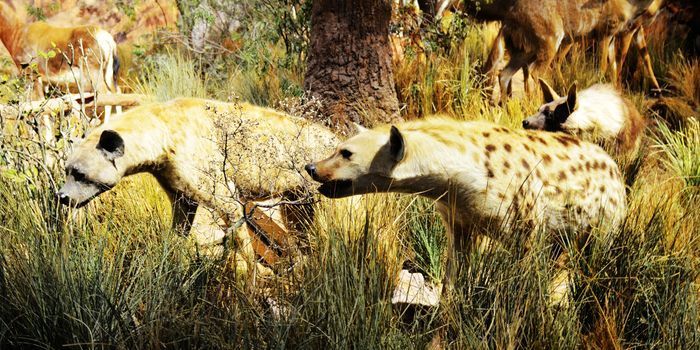 ��ԭ��ͭ��