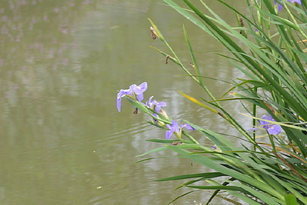 ����ˮ�ߵĲ�