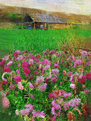 �����ͻ�������ũ��Ժ��