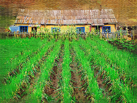 �����ͻ���ũ��Ժ��