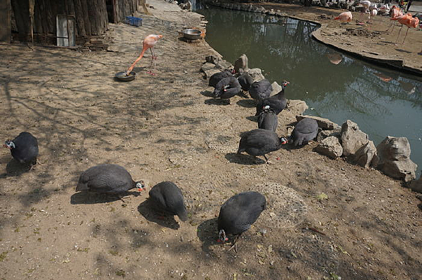 �ӱߵ�����