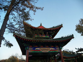 ����¥֮һ���������ͤ