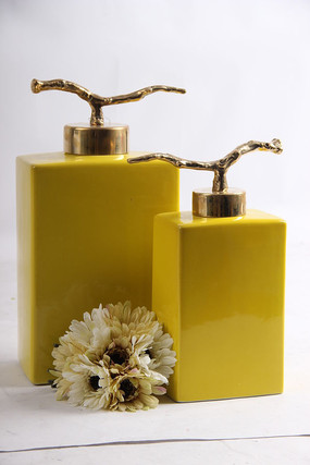 ��ɫ���չ��Ӱڼ�