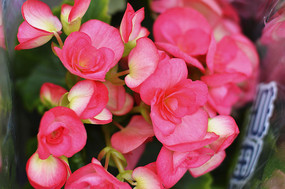 ���۵��ļ�����