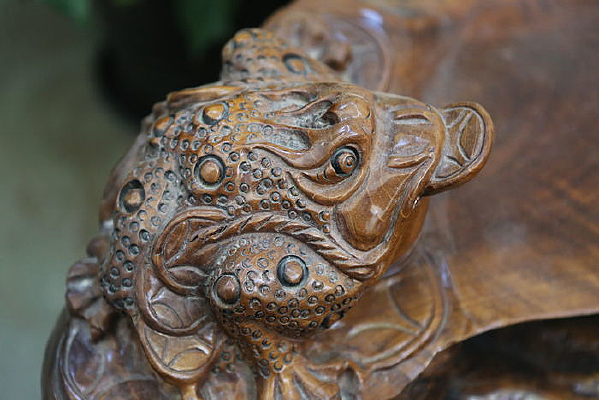 ��󸺬ͭ��ľ��