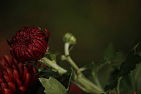 īĵ������