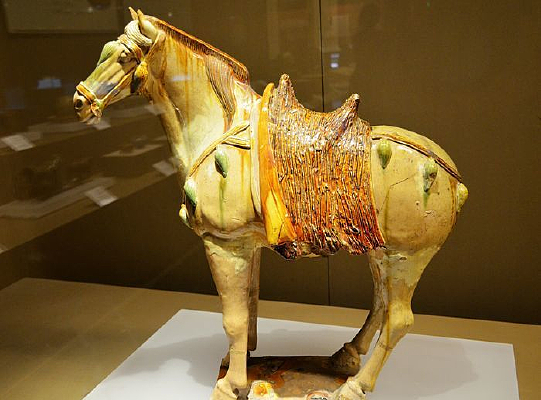 ���ʿ���