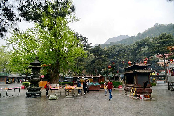 �˴������