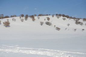 ����ѩ�쾰��