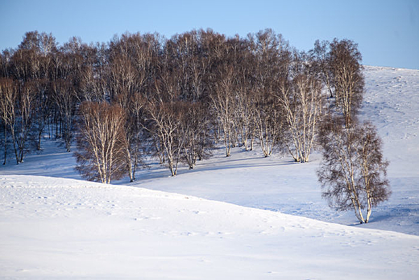 ����ѩ�쾰��