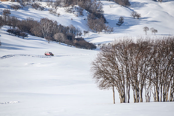 ����ѩ�쾰��