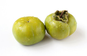 ������ɫ����