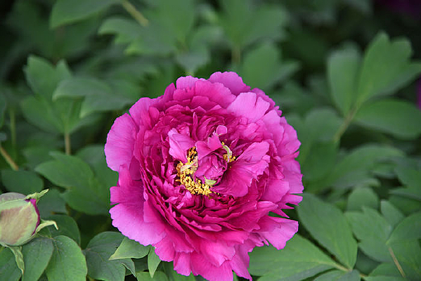 ĵ���������װ���