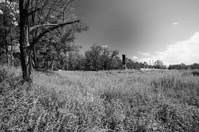 ��̬��Ұ���