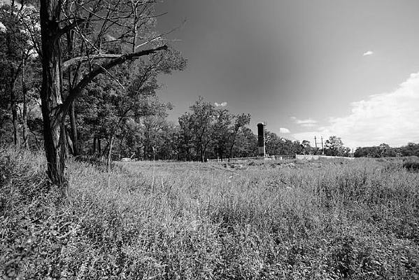 ��̬��Ұ���