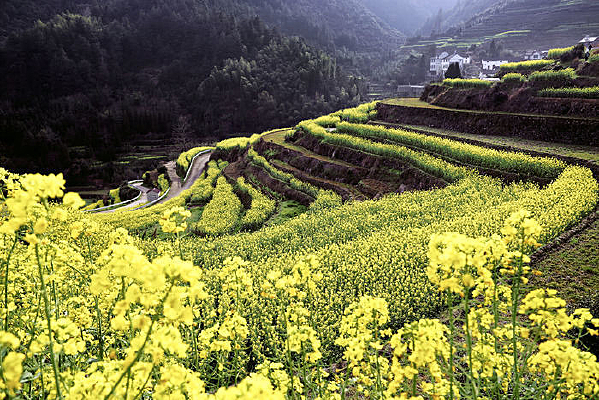 ��ʯ���Ͳ˻�