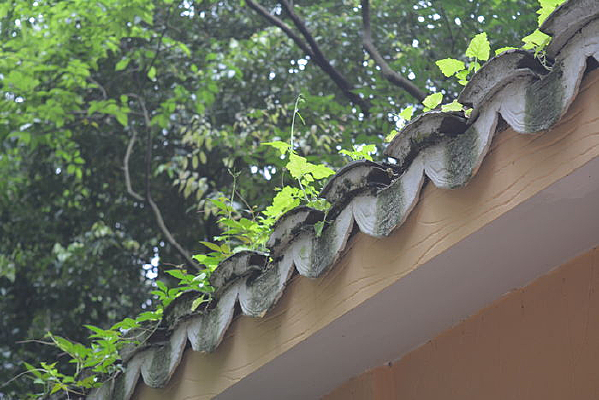 �����ϵ�С��