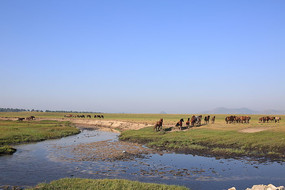 ������Ⱥ