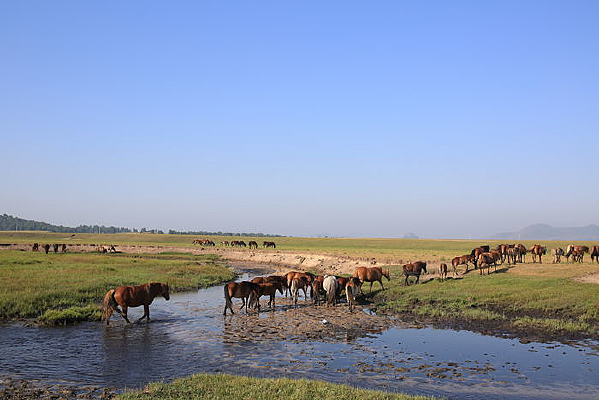 ������ˮ