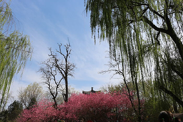 �һ�����