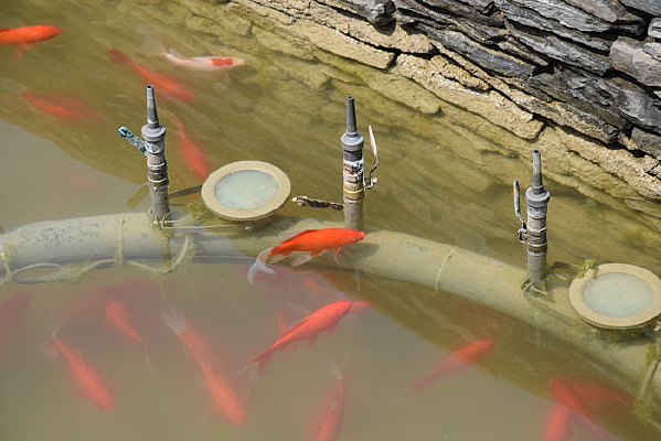 �����еĽ���ͼƬ