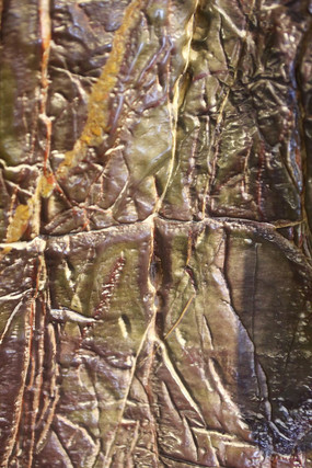 ���ʯ���Ʊ���