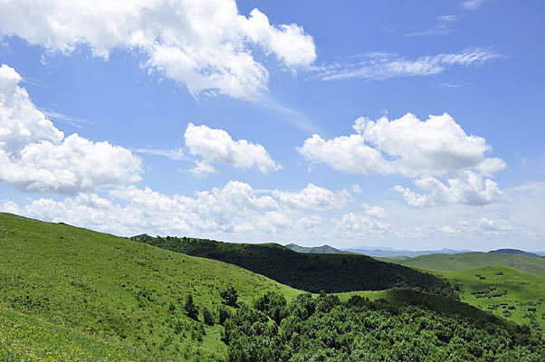 ��ɫ���Ͼ���