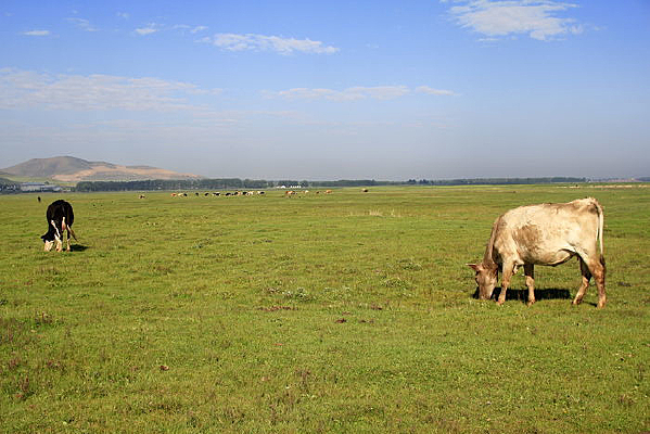 �������Ͼ���