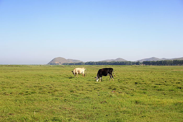 �������Ͼ���