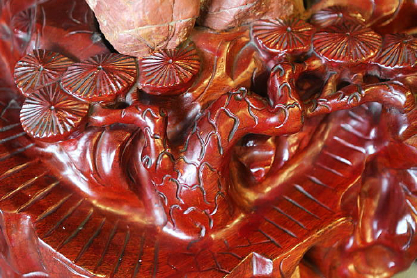 ľ��ľ����֥