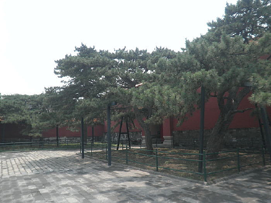 ǧ������