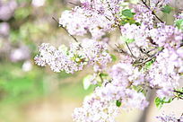 ��ϵ����