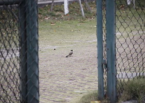 ͣ���ڵ��ϵ���