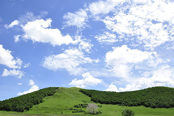 ������ɫ���