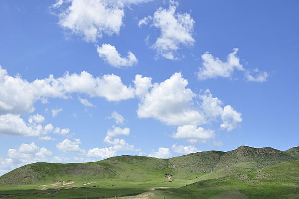 ������ɫ����