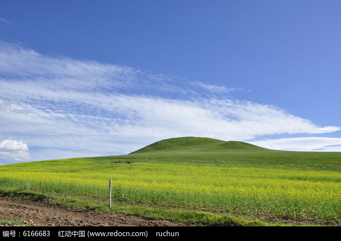 ������ɫ����ͼƬ