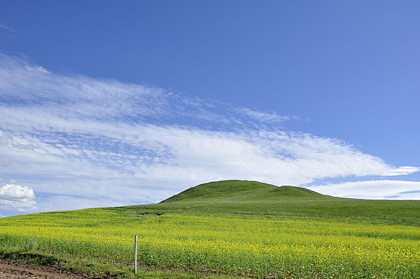 ������ɫ����