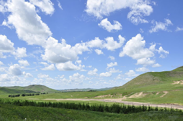 ������ɫ����