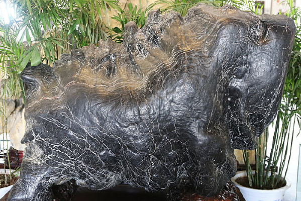 �������ʯţ��