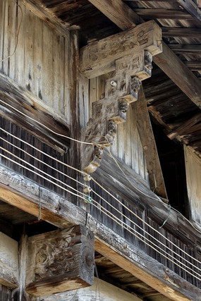 ������ţ��