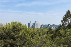 �����̻�