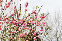 ��������һ�