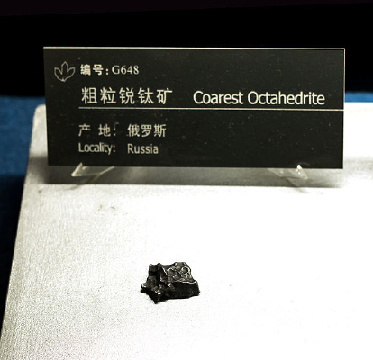 �������ѿ���ʯ�걾