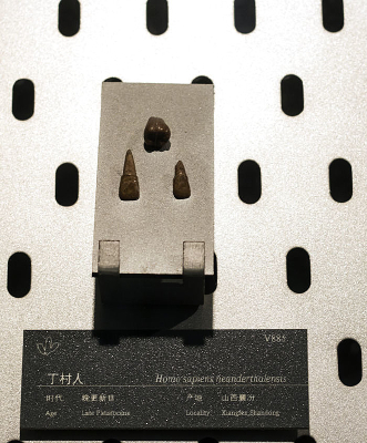 ���������ݻ�ʯ