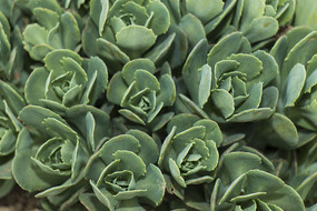 ����ֲ����д