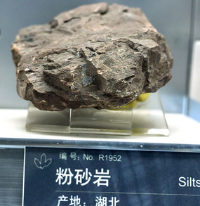 �����ұ걾