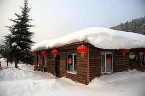 ����ѩ����Ӱ