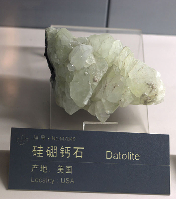 �����ʯ�걾