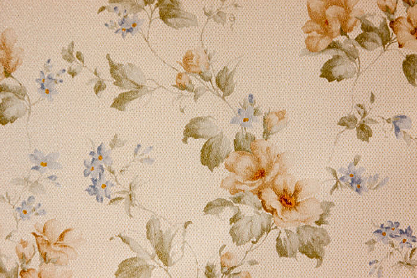 �����౳��ǽ����ͼ��